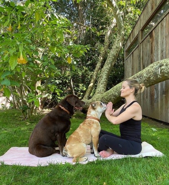 Reese Witherspoon doing Yoga with dogs